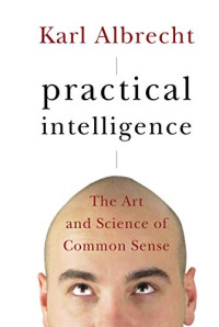 PRACTICAL INTELLIGENCE: THE ART AND SCIENCE OF COMMON SENSE